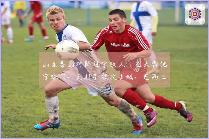山东泰山对阵辽宁铁人：王大雷把守球门，瓦科引领攻击线，巴西三外援火力全开