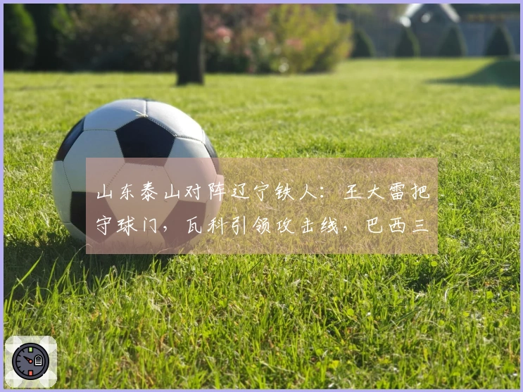 山东泰山对阵辽宁铁人：王大雷把守球门，瓦科引领攻击线，巴西三外援火力全开
