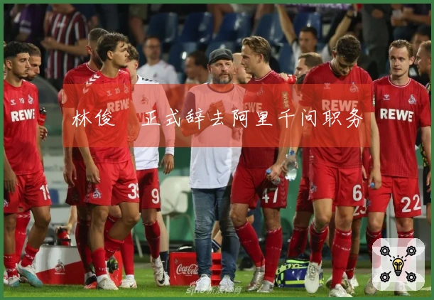 林俊旸正式辞去阿里千问职务